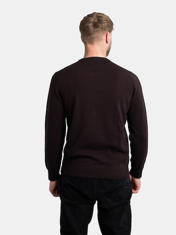 LACOSTE Sweatshirt in Brown