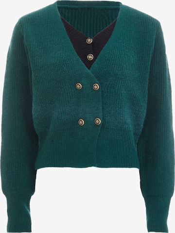 NALLY Knit Cardigan in Green: front