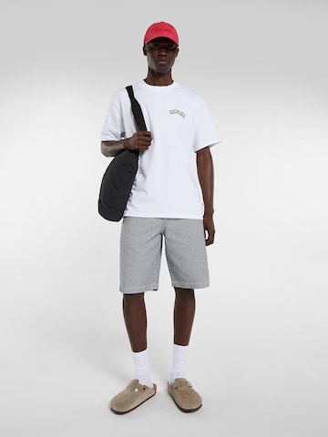 DICKIES Μπλουζάκι 'Bettsville' σε λευκό