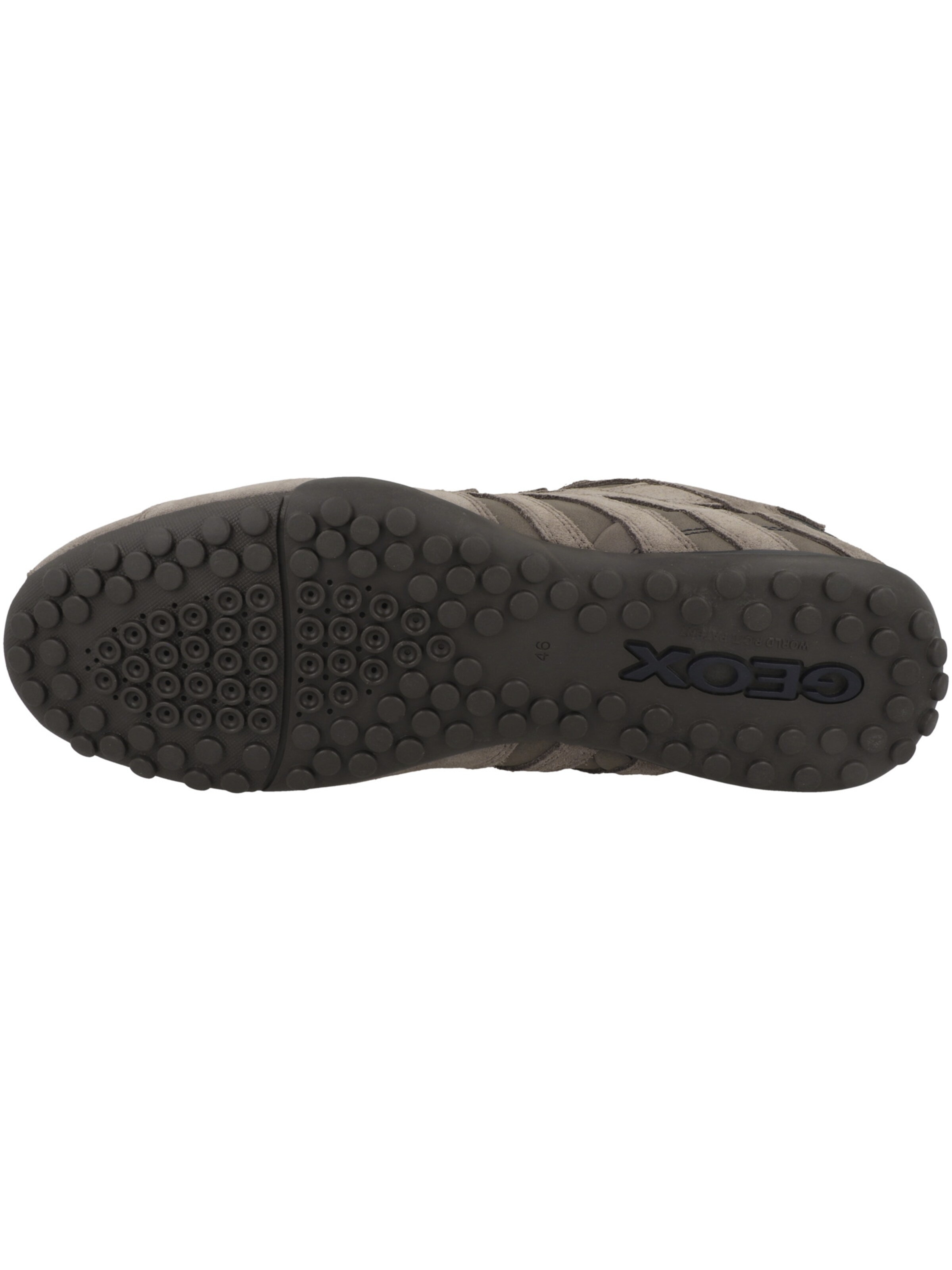 GEOX Sneaker 'U Snake A' in Grau