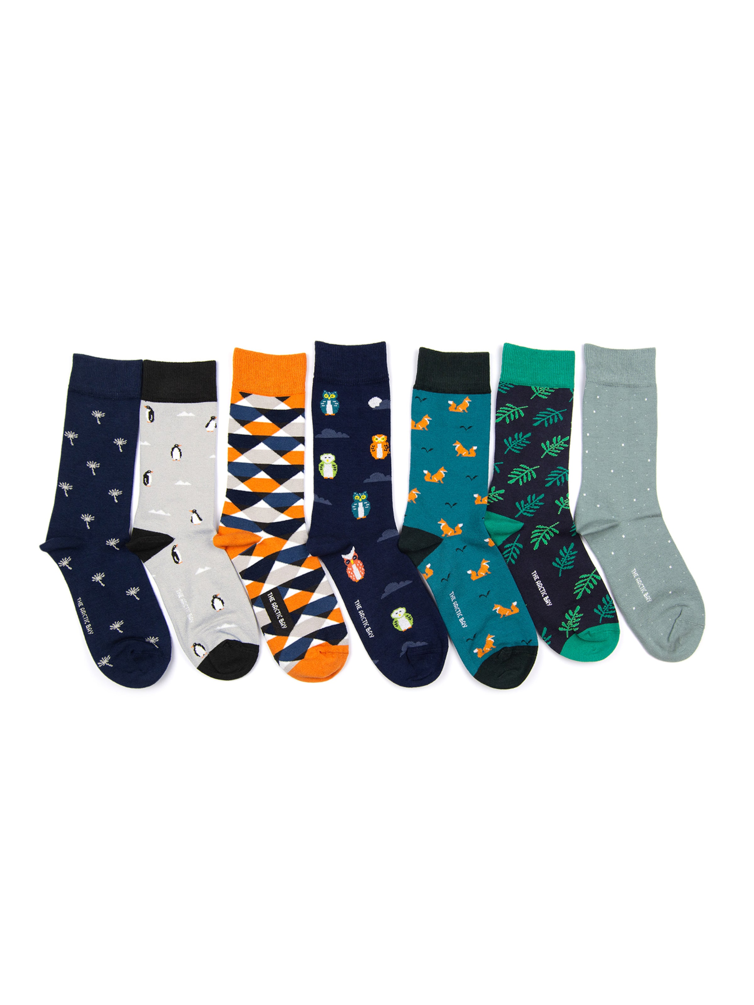 The Arctic Bay - Calcetines 'DISCOVERY PACK EDITION 7 Unisex' en Mezcla de colores: frente