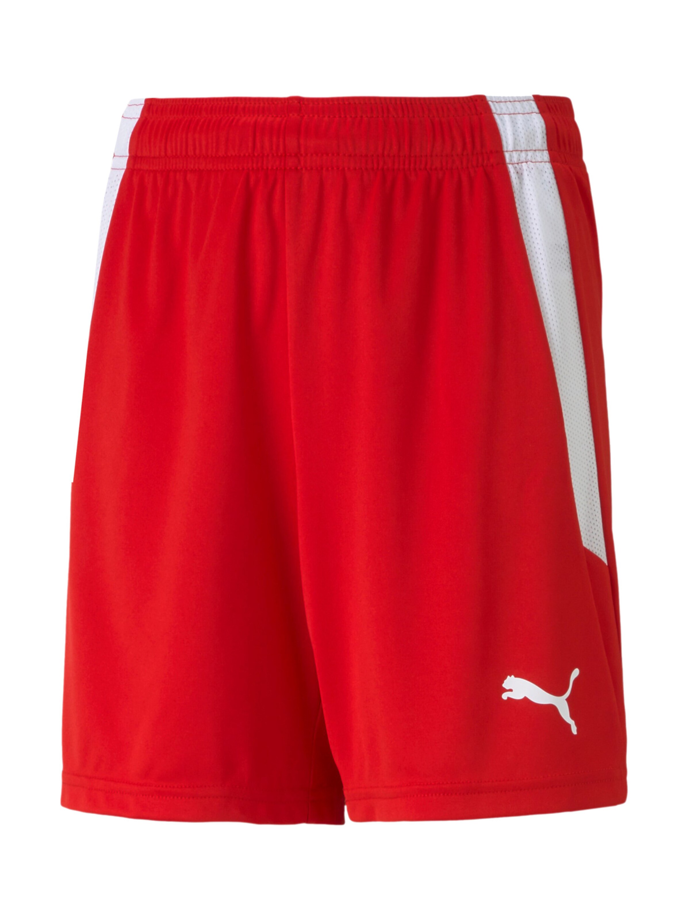 Regular Pantalon de sport 'TeamLiga' PUMA en rouge