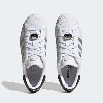 ADIDAS ORIGINALS - Sapatilhas baixas 'Superstar' em branco