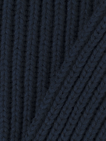 Bickley + Mitchell Scarf in Blue