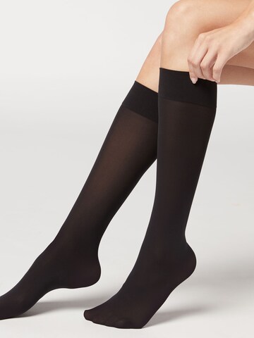 CALZEDONIA Knee High Socks in Black