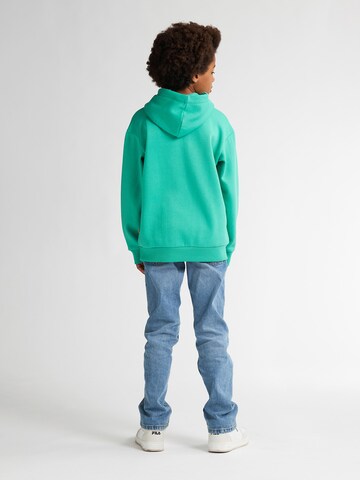 Petrol Industries Sweatshirt in Groen
