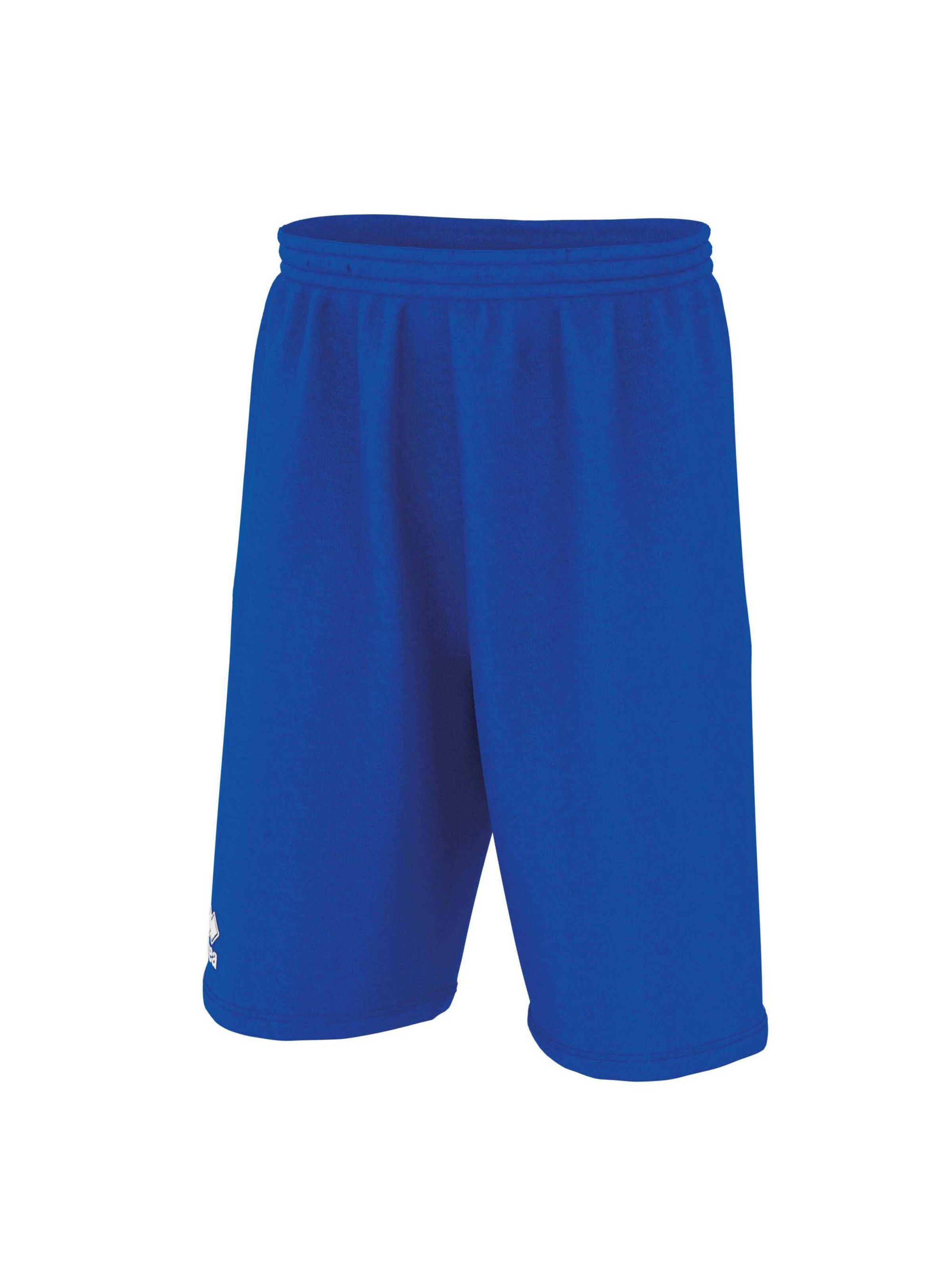 Errea Regular Trousers 'Dallas 3.0' in Blue: front