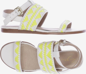 Zign Sandals & High-Heeled Sandals in 38 in White: front