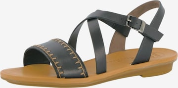 Sandalo con cinturino di Paul Green in nero: frontale