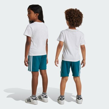 Survêtement 'Adicolor' ADIDAS ORIGINALS en vert