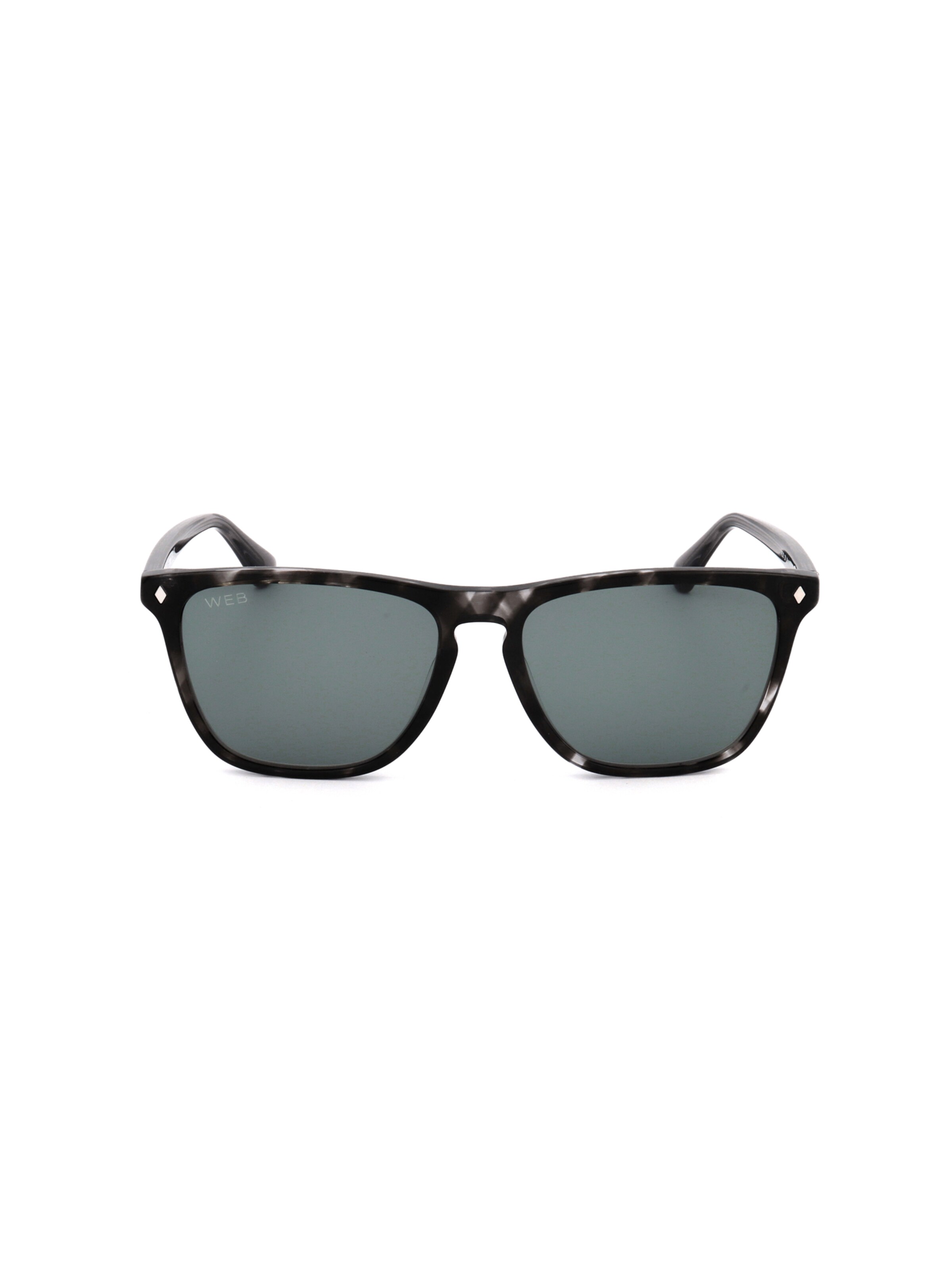 Occhiali da sole 'WE0363' di Web Eyewear in grigio