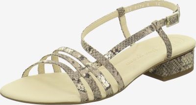 Paul Green Sandale in beige / silber, Produktansicht