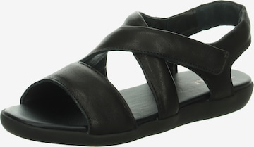 THINK! Strap Sandals 'Nature Sand' in Black: front