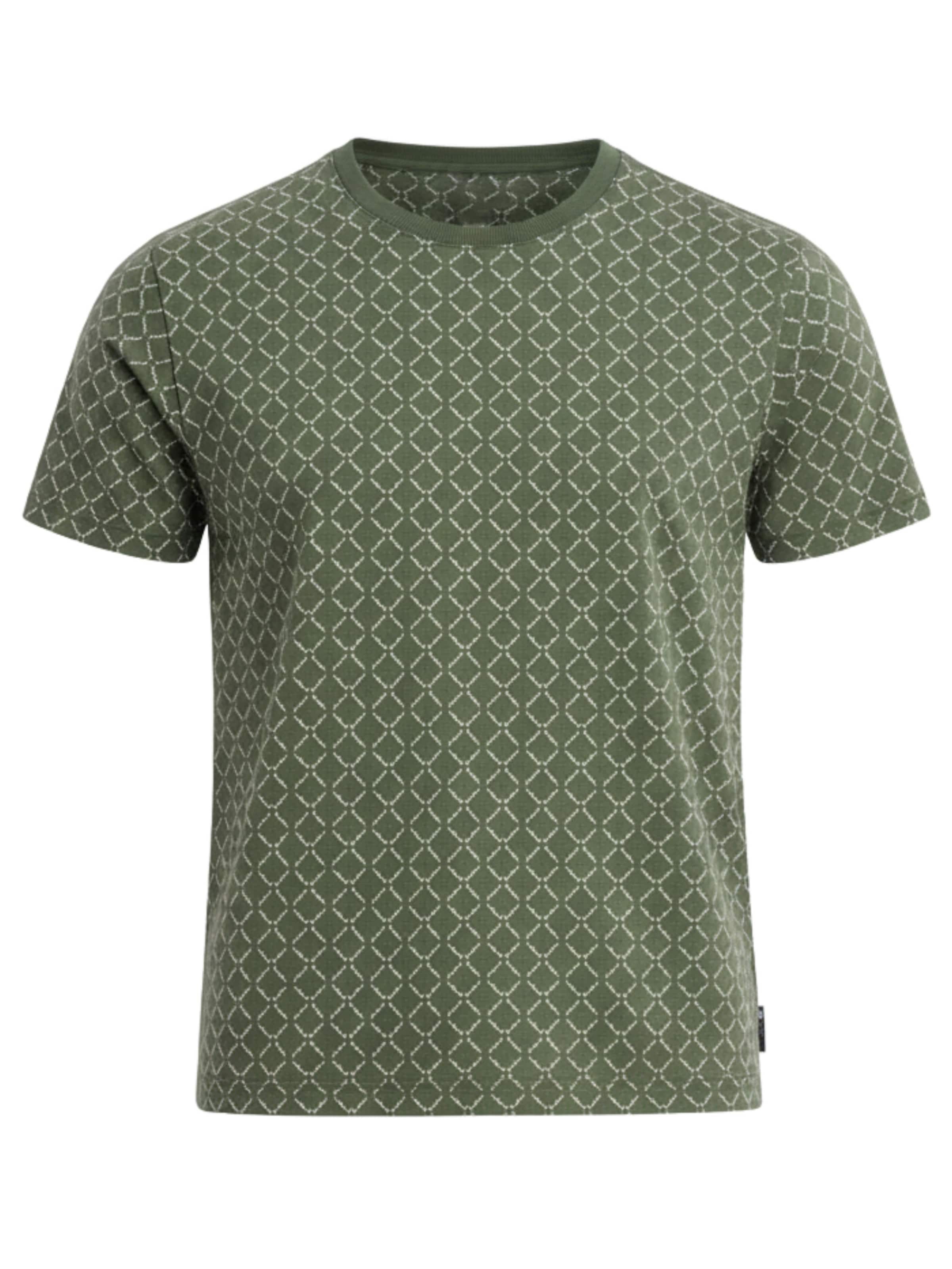Ombre Shirt in Green: front