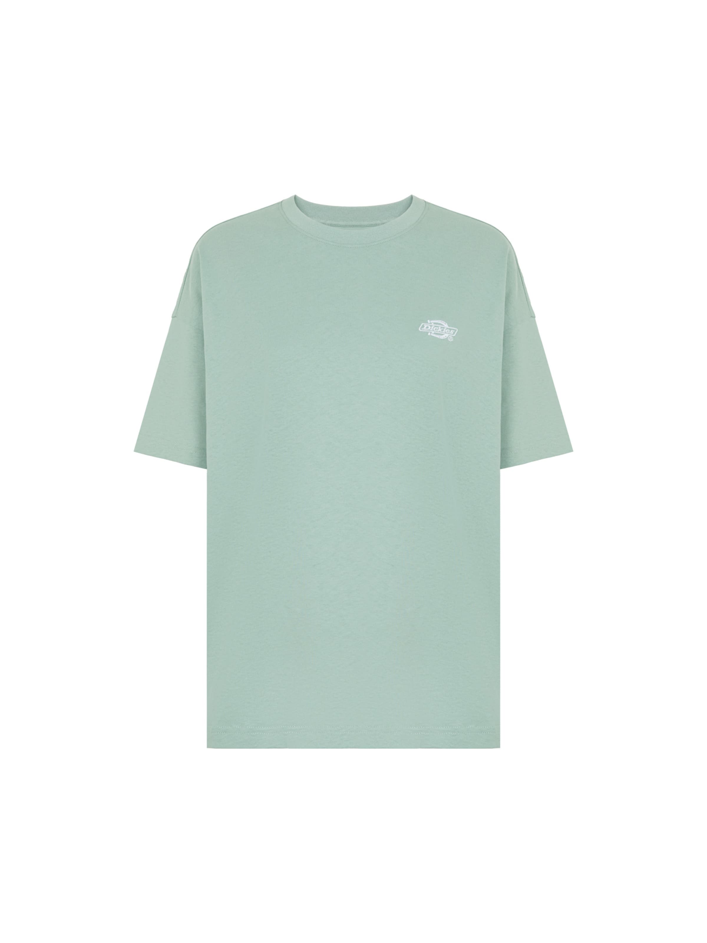 DICKIES Μπλουζάκι 'Summerdale' σε πράσινο: μπροστά