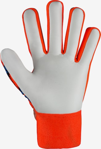 REUSCH Athletic Gloves 'Attrakt Starter Solid Finger Support' in Orange