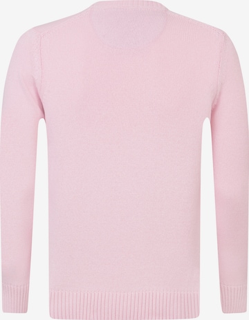 DENIM CULTURE Sweater 'Brian' in Pink