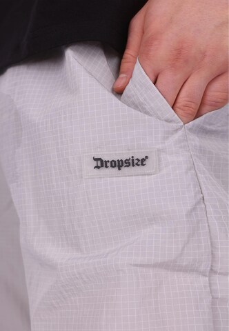 Dropsize Regular Pants in Grey