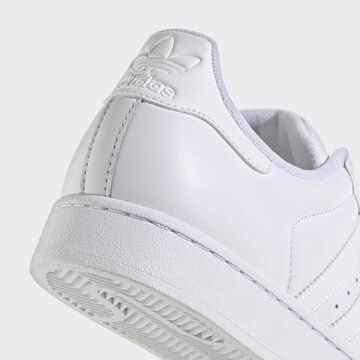 ADIDAS ORIGINALS Platform trainers 'Superstar' in White