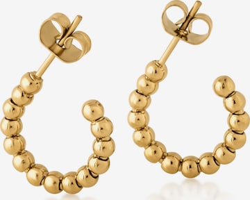 Akitsune Earrings 'Delight' in Gold: front