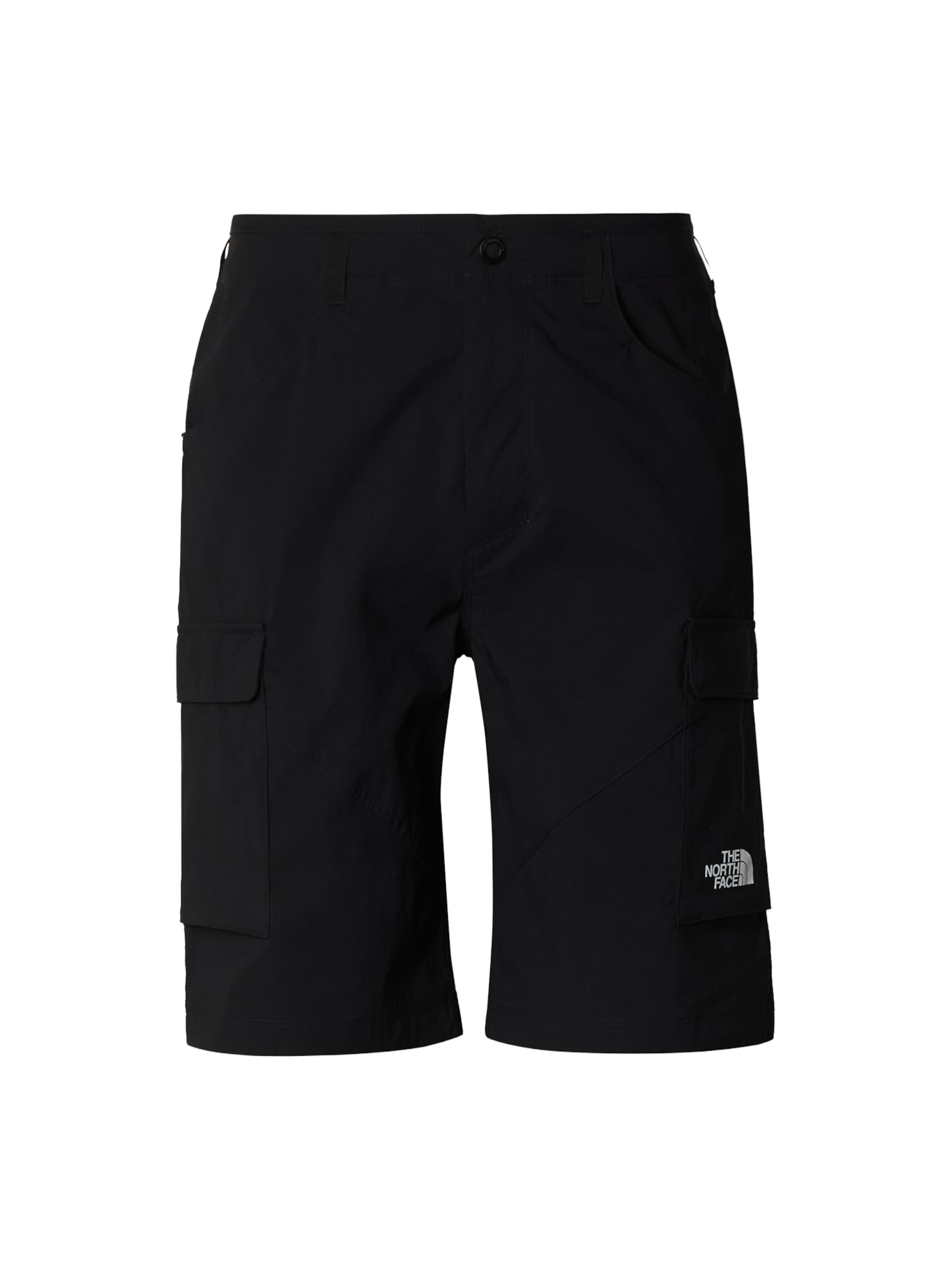 THE NORTH FACE Обычный Штаны в спортивном стиле 'EXPLORATION' в Черный: спереди