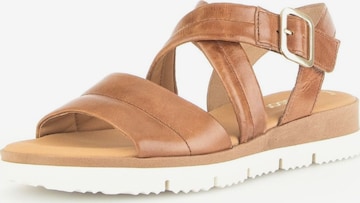 GABOR Strap Sandals in Brown: front