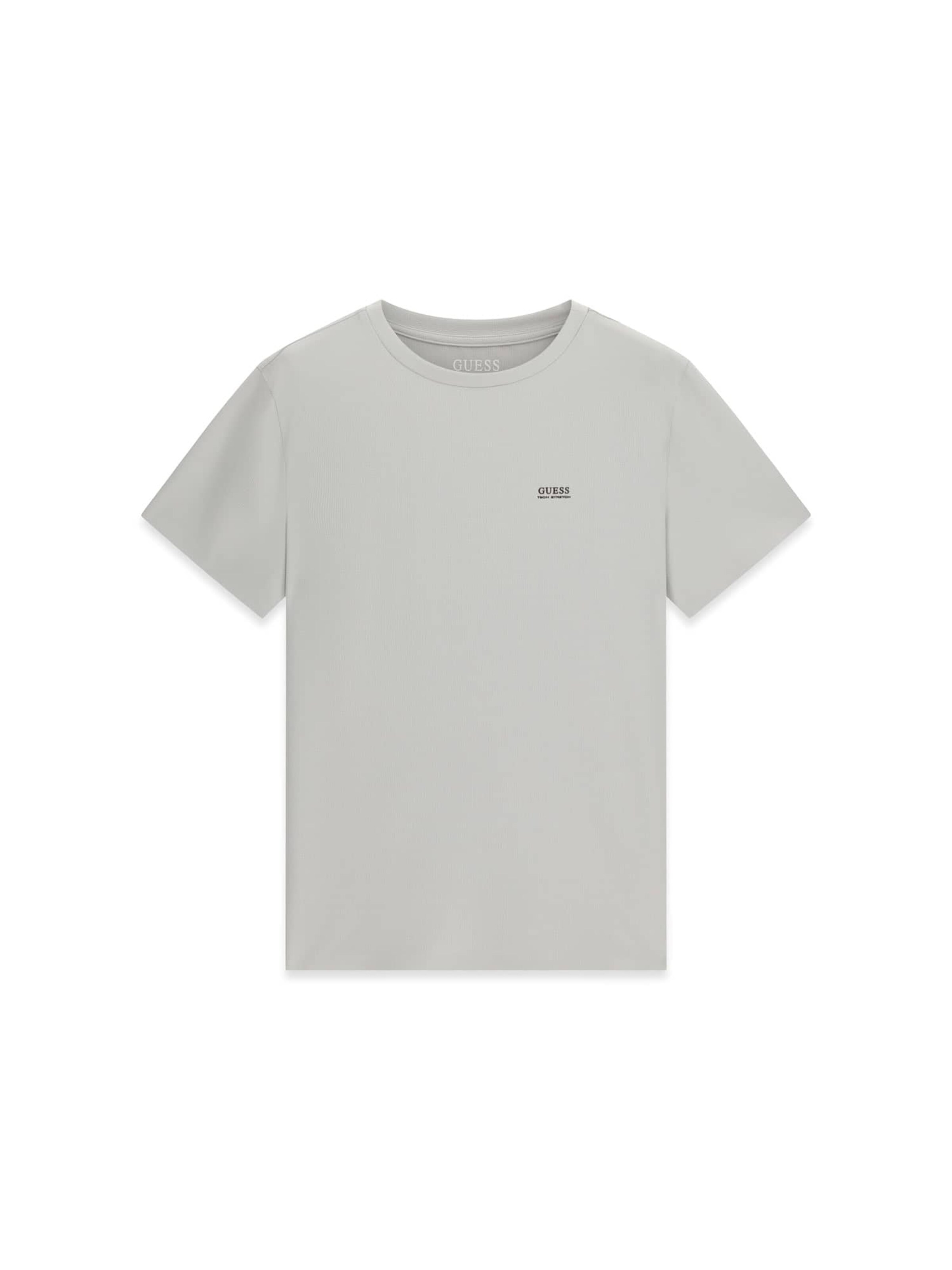 GUESS T-Shirt in Grau: Vorderseite