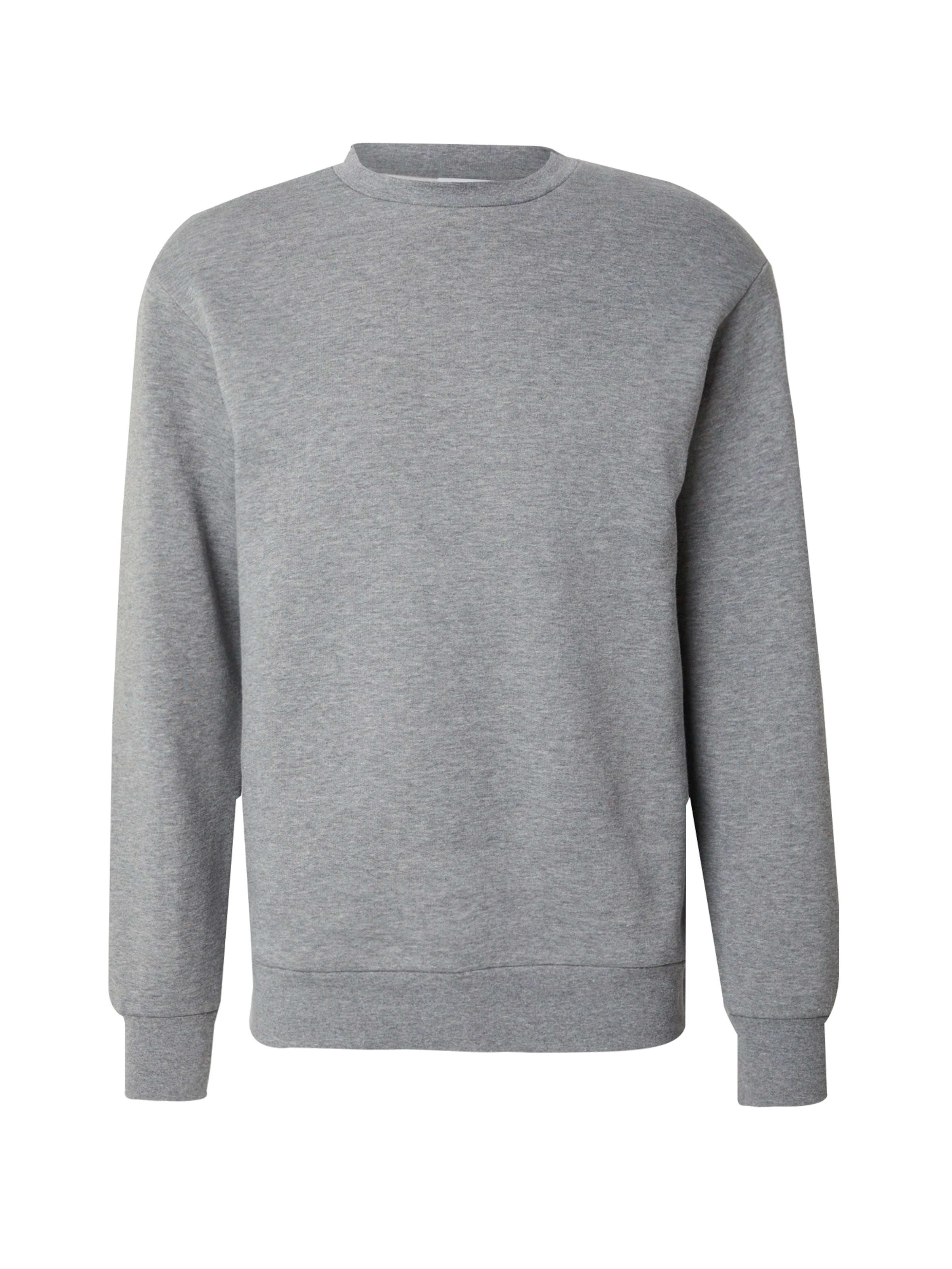 Felpa 'SLHDAN' di SELECTED in grigio: frontale