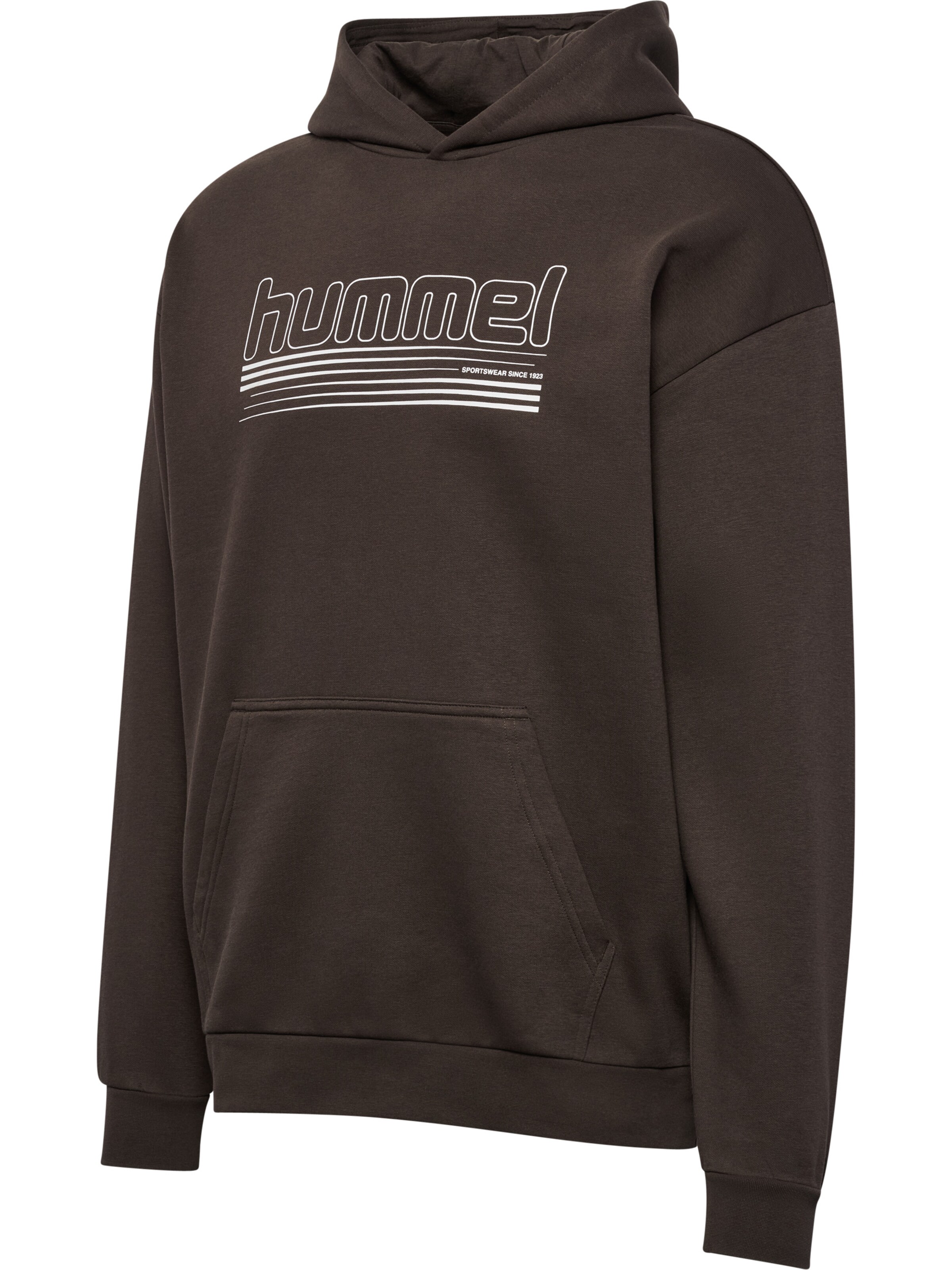 Hummel Sweatshirt i grå