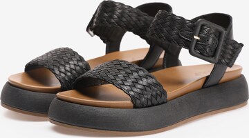 INUOVO Strap Sandals in Black