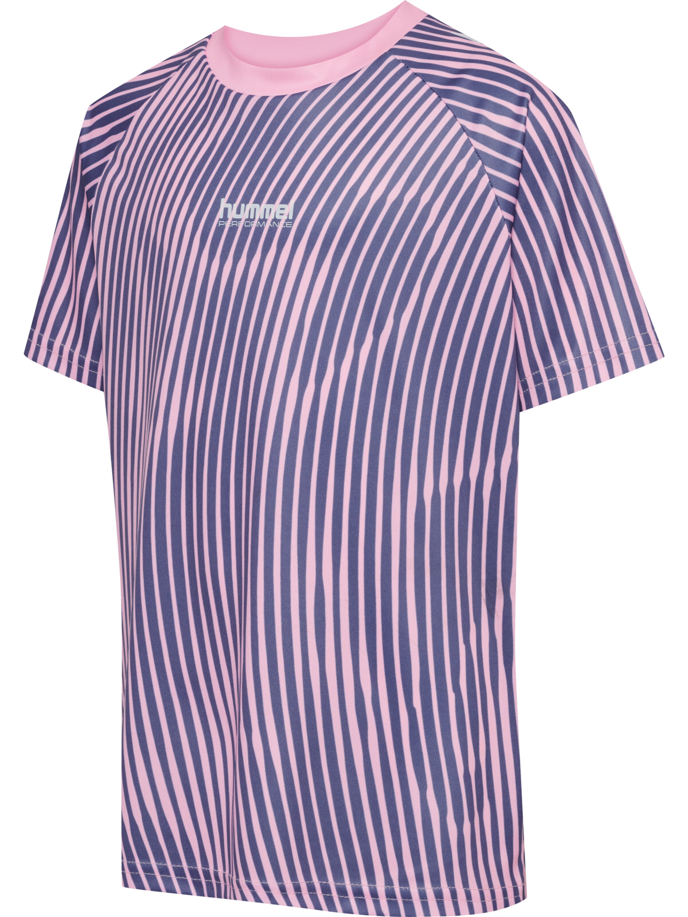 Hummel Performance shirt 'Goal' in Pink