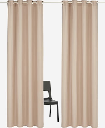 HOME AFFAIRE Curtains & Drapes in Beige: front