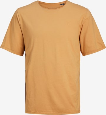 T-Shirt 'BLURYDES' JACK & JONES en marron : devant