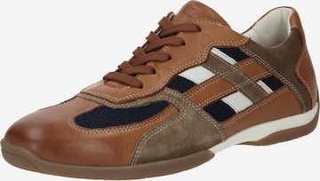 LLOYD Sneakers hoog 'BALDWIN' in Bruin: voorkant