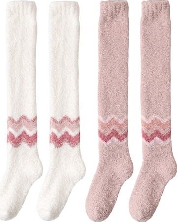 BONVERANO Over the Knee Socks in Brown: front