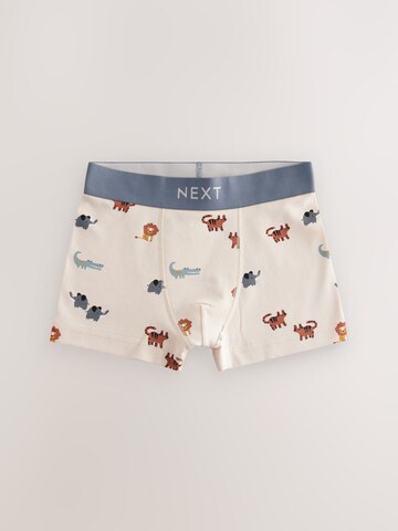 Sous-vêtements Next en bleu