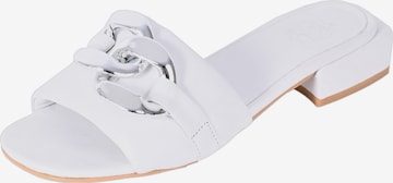 Apple of Eden Mules 'JENA' in White: front