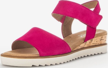 GABOR Sandals in Pink: front