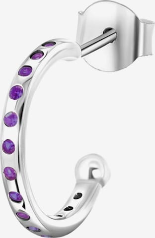 Lucardi Earrings in Silver: front
