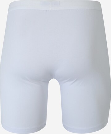 ABOUT YOU Boxershorts 'Rafael' in Grau