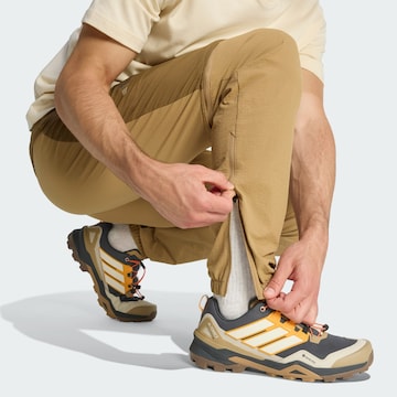 ADIDAS TERREX Regular Outdoor trousers 'Xperior Utilitas Clima365' in Brown