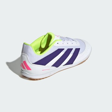 Chaussure de sport 'Predator Club Sala' ADIDAS PERFORMANCE en blanc