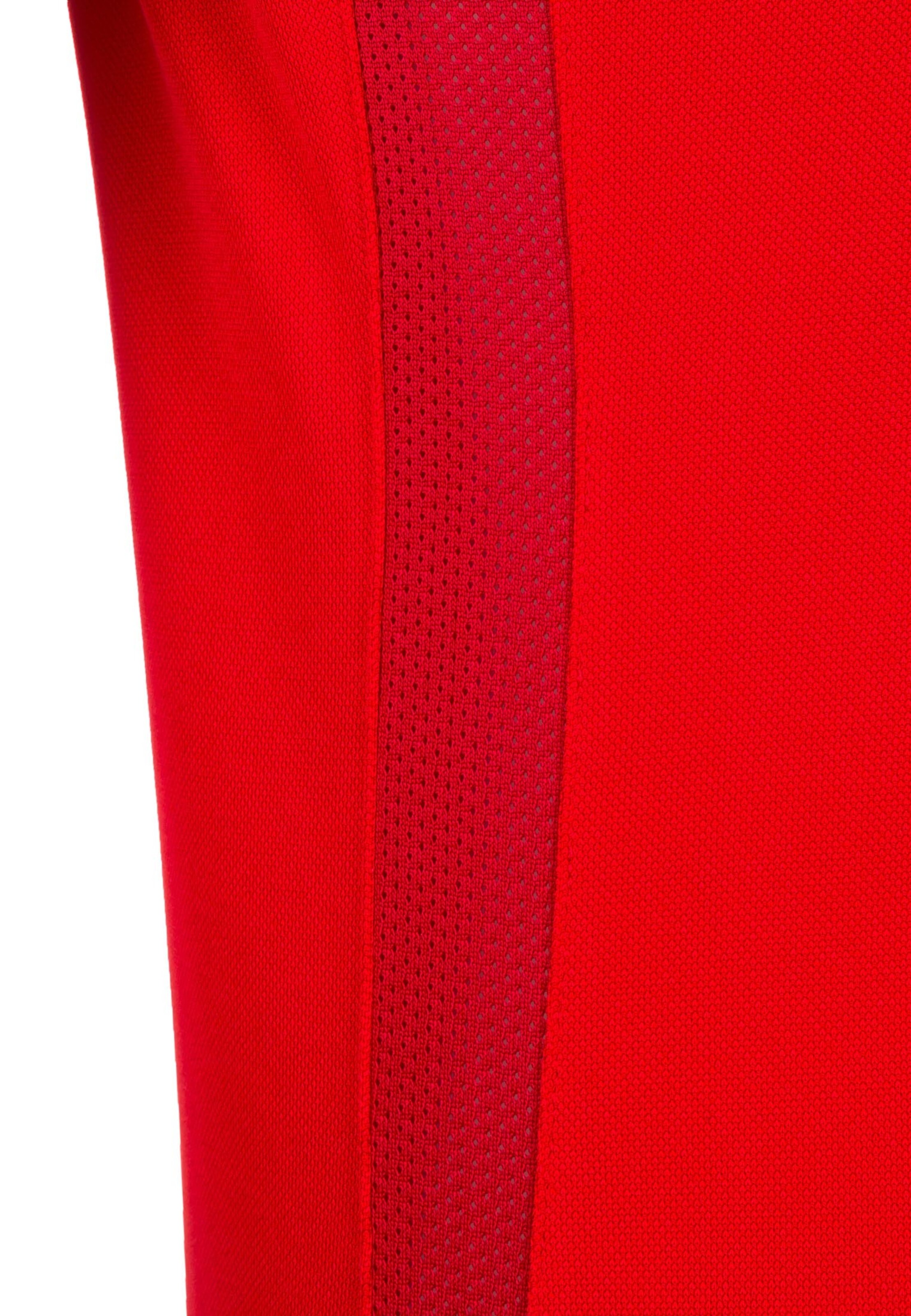 NIKE Performance shirt 'Academy 18' in Red