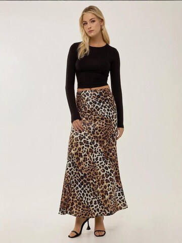 Hiccup Rock in Braun