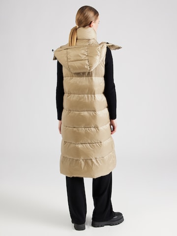 Gilet Canadian Classics en beige