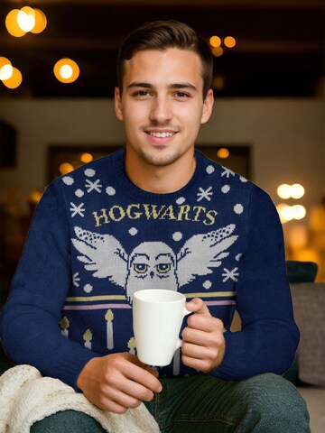 Harry Potter Pullover 'Weihnachtspullover Hedwig Eule'‌‌‌‌‌‌‌‌ in Blau