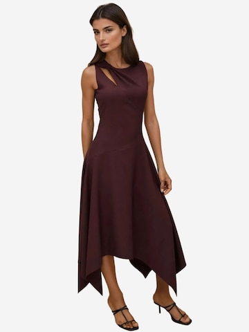 Hiccup Kleid in Braun