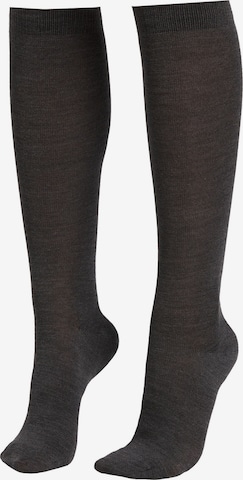 CALZEDONIA Knee High Socks in Grey: front