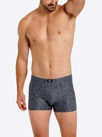 Haasis Bodywear Boxer shorts in Black