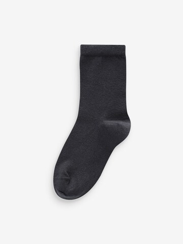 Next - Calcetines en beige